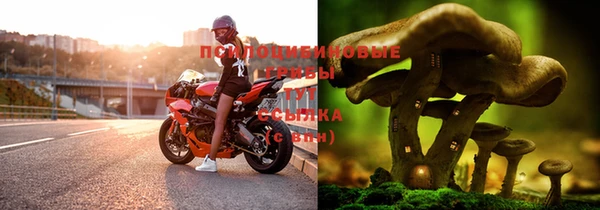 не бодяженный Кукмор