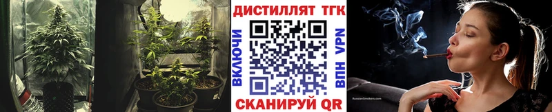 ТГК концентрат Купить где Светлогорск